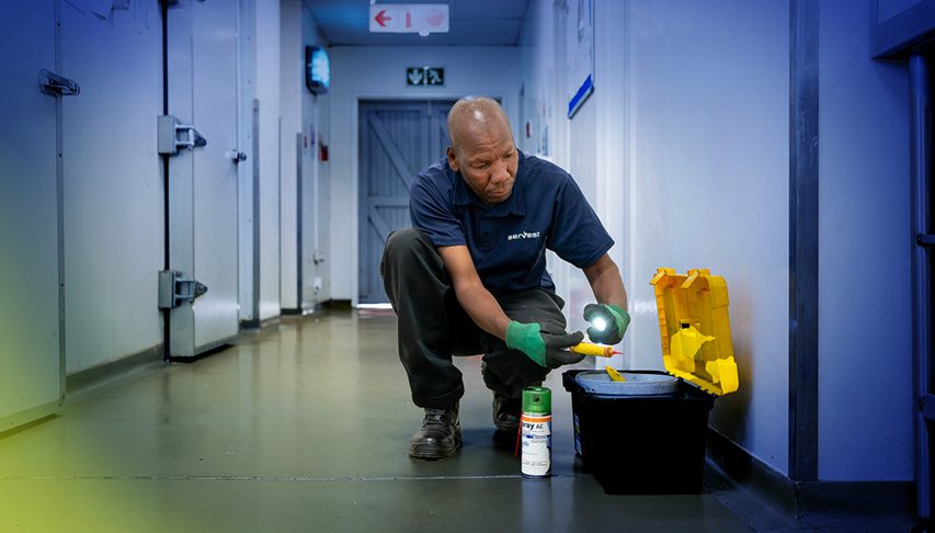 Indoor fly removal and targeted treatment in New Jersey